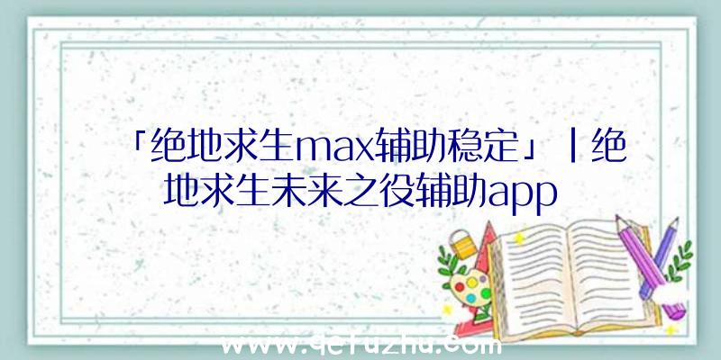 「绝地求生max辅助稳定」|绝地求生未来之役辅助app